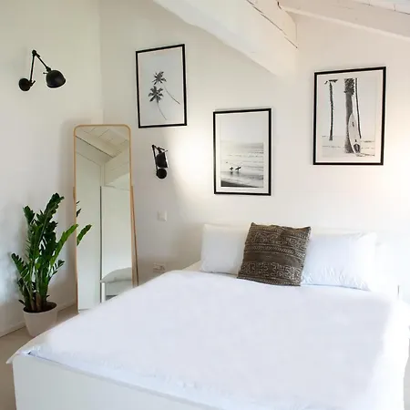 דירה The Loft